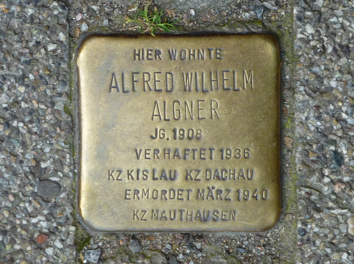 Stolperstein memorial dedicated to Alfred Wilhelm R. Algner in Freiburg im Breisgau, Germany