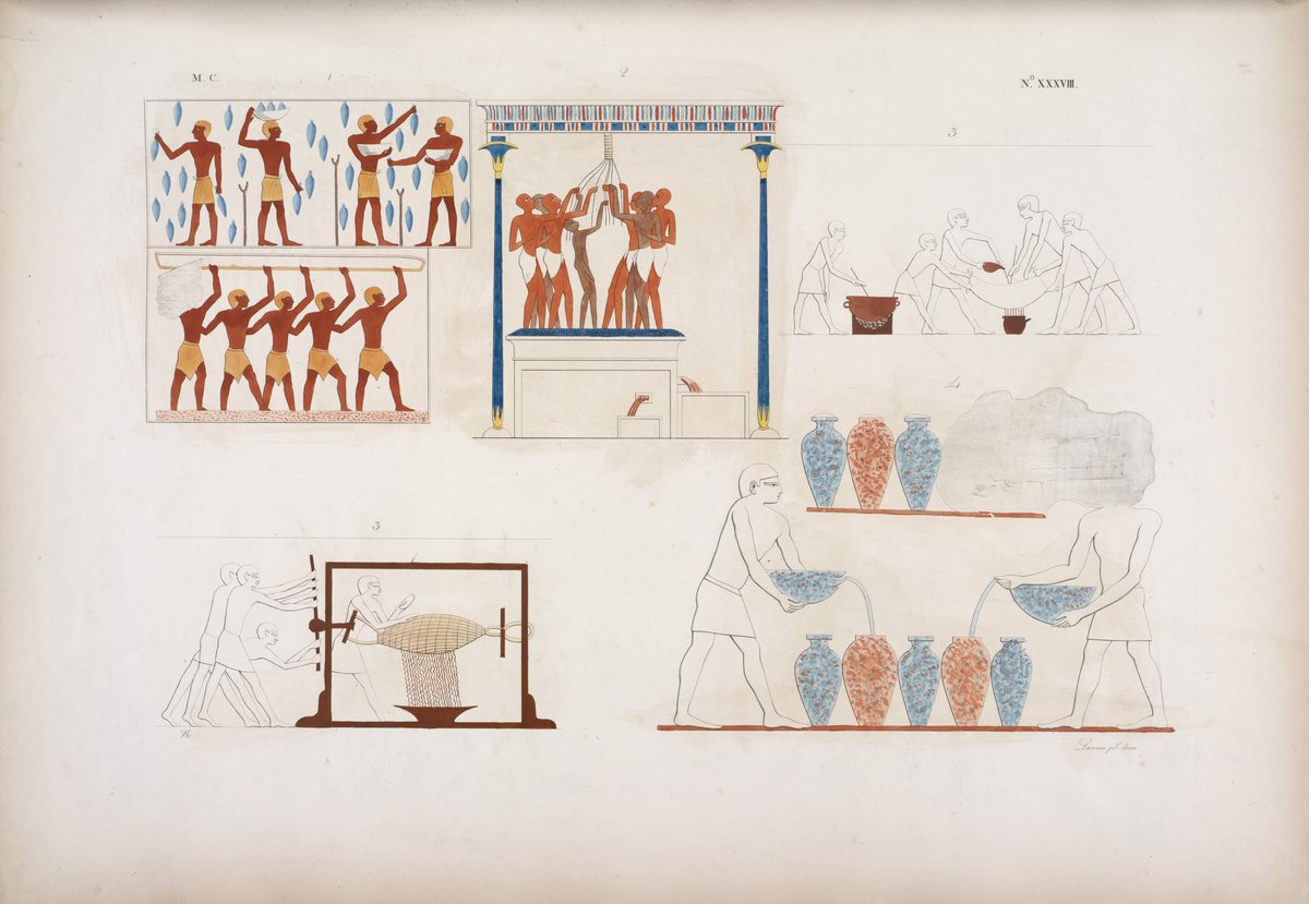 Historical illustrations of traditional winemaking and grape pressing techniques