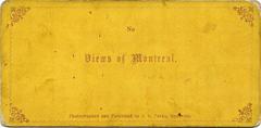 Historic Notre-Dame Cathedral and Place d'Armes in Montreal during 1870s