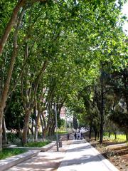 Tree-lined Plaza de España in Madrid with modern buildings in the background