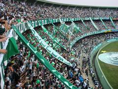 Formal torcida Império Alviverde at Estádio Couto Pereira before Coritiba vs Ceará Campeonato Brasileiro match