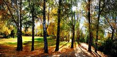 Scenic reserve land in northeast Christchurch with lush greenery and walking trails
