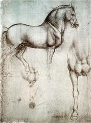 Detailed anatomical study of a horse by Leonardo da Vinci