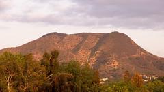 Cahuenga Peak and Burbank Peak with solitary tree at sunset seen from northwest on overcast day