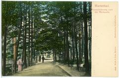 Scenic promenade path leading to the Waldquelle forest spring in Marienbad, 1903