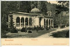 Forest Spring