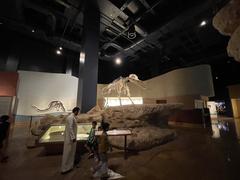 National Museum Of Saudi Arabia
