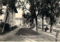 Occidental College
