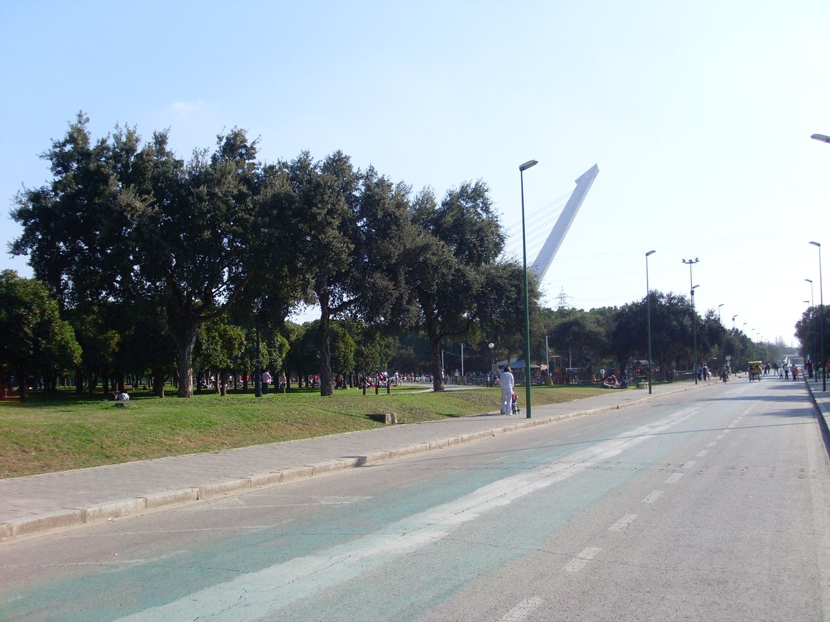 Winter view of Parque del Alamillo with leafless trees and pathways covered with fallen leaves
