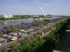 Panoramic view of Isla La Cartuja and surrounding landscape from balcony