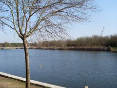 Alamillo Park lake with surrounding greenery and clear sky