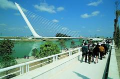 Puente del Alamillo modern bridge in Seville Spain