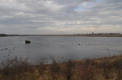 Winter view of Koklapperne wetlands at Kalvebod Faelled with snow-covered landscape