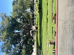 Westwood Village Memorial Park Cemetery