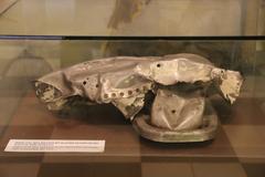 Remains of B-52 shot down over Hanoi in 1972