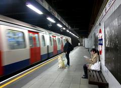 Blind person with guide dog on the London Underground at Euston Square station