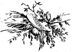 Bilderdijk Bloemtjens 1785 historical manuscript page with handwriting
