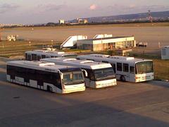 Varna Airport runway with Contrac Cobus 3000 airport bus and other buses