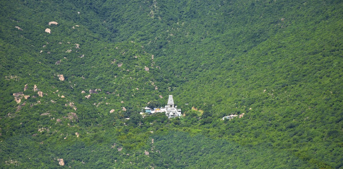 Marudhachalamurthy (Lord Muruga) Temple situated on a hillock with lush greenery in Coimbatore, Tamil Nadu