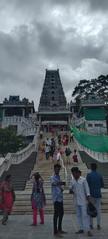 Maruthamalai Marudhachalamurthy Temple entrance with golden gopuram under blue sky