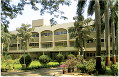Tata Institute Of Fundamental Research