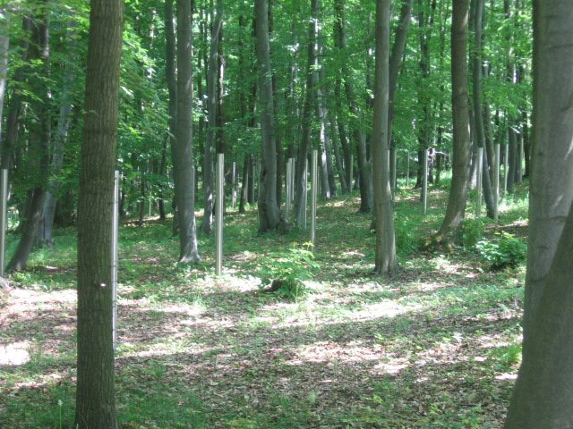 Graveyard of Soviet NKVD special camp Nr. 2 with silver poles marking unmarked graves at Buchenwald