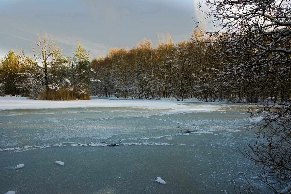 Winter evening atmosphere at the frozen Drei-Insel-Teich in NSG Ohligser Heide