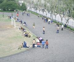 Shanghai International Studies University