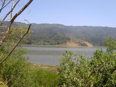 View of the west side of Bolinas Ridge in Marin County, California across Bolinas Lagoon