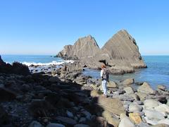 Golden Gate National Recreation Area landscape with lush greenery and rocky cliffs