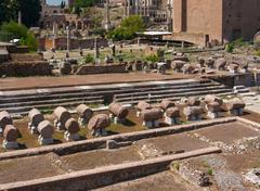 Panoramic view of the Forum Romanum in Rome, Italy with ancient ruins and blue sky