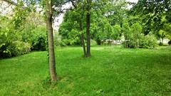 Vérmező Park greenery with trees and pathway