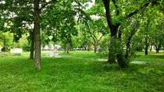 Vérmező Park with green trees and walking paths under blue sky