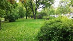 Vérmező Park with green grass and trees under a blue sky