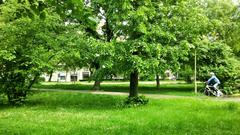 Green grassy area and trees in Vérmező Park Budapest