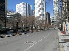 Rue Square-Victoria in Montreal near Square-Victoria–OACI station during Covid-19 pandemic, north direction