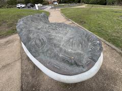 3D map of Muir Beach Overlook showing topographical features and trails