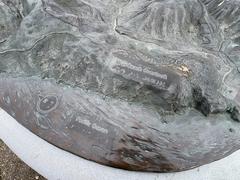 3-D topographic map at Muir Beach Overlook showing terrain and trails