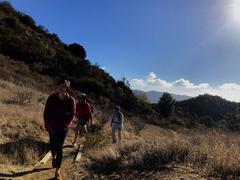 View of rugged hills and dry vegetation in Topanga State Park under a clear blue sky