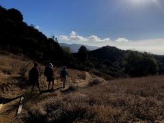 Scenic view of Topanga State Park with greenery and hills