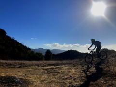 Mountain biking on dirt trail in Topanga State Park with tall trees and clear blue sky