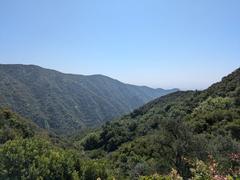 Scenic view of Topanga State Park with lush greenery and hills under a clear blue sky