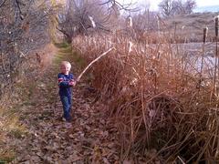 Child holding a frog near a pond in nature