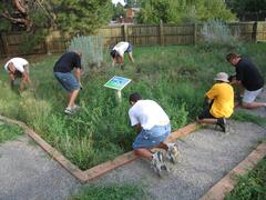 Eagle Scout at Prairie Garden holding a gardening tool