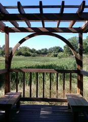 Eagle Scout at wetland gazebo in nature