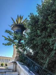 Agave plant in a decorative flowerpot on stairs of Zappeion Gardens Athens
