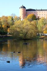 Uppsala Castle from the east with Svandammen pond in the foreground
