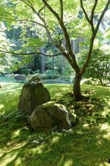 Nitobe Memorial Garden at the University of British Columbia in Vancouver, featuring traditional Japanese garden elements and serene greenery