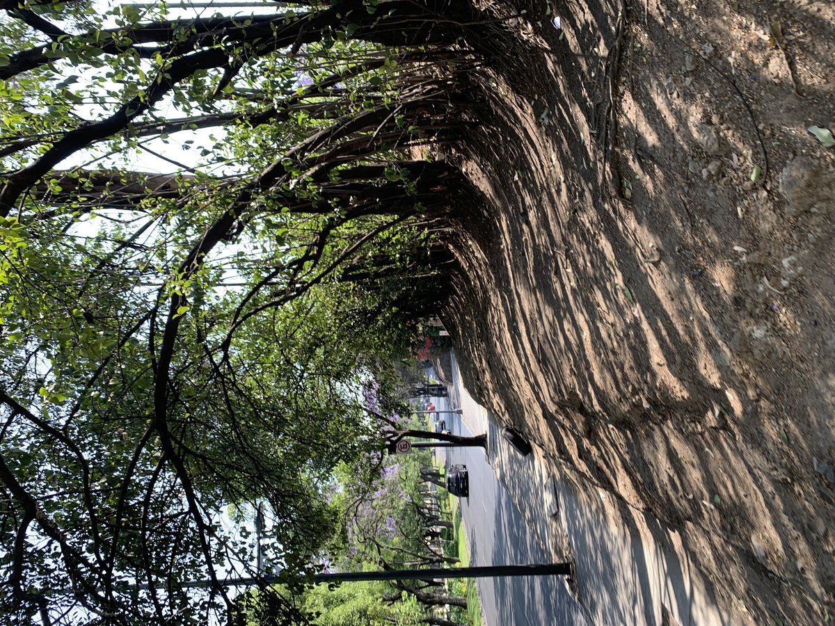 Sculptures along Avenida Paseo de la Reforma in Mexico City