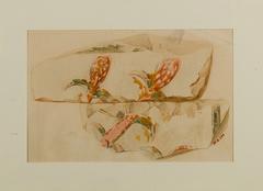 Water plants depicted in facsimile from Tomb of Puyemre TT39